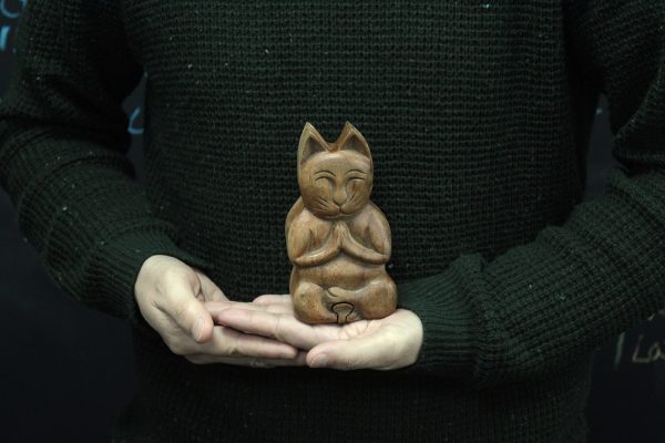Bali Magic Box - Yoga Cat - Image 3