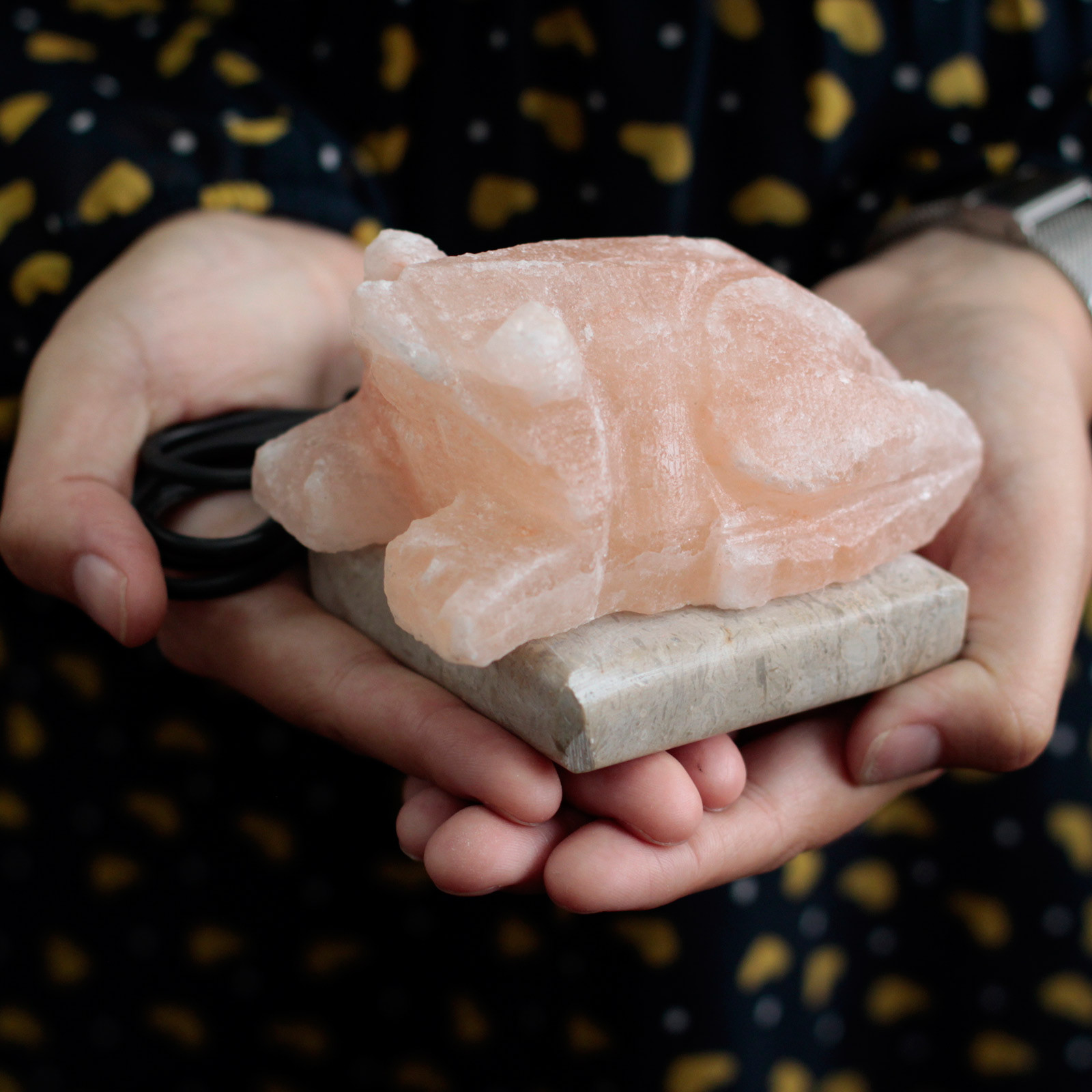 USB Toad Shaped (Multi) - Image 3