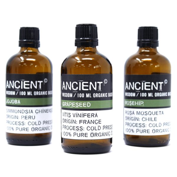 Wheatgerm Organic Base Oil - 100ml - Image 3