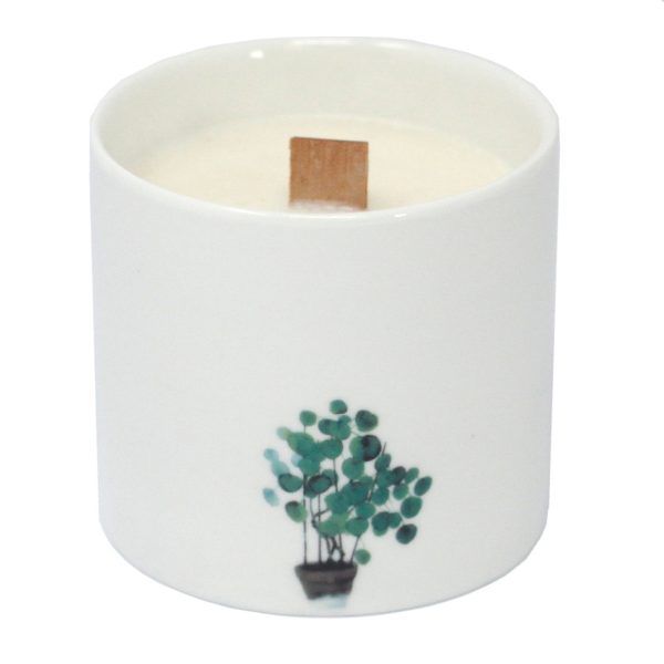 Large Botanical Candles - Wild Jasmine - Image 3