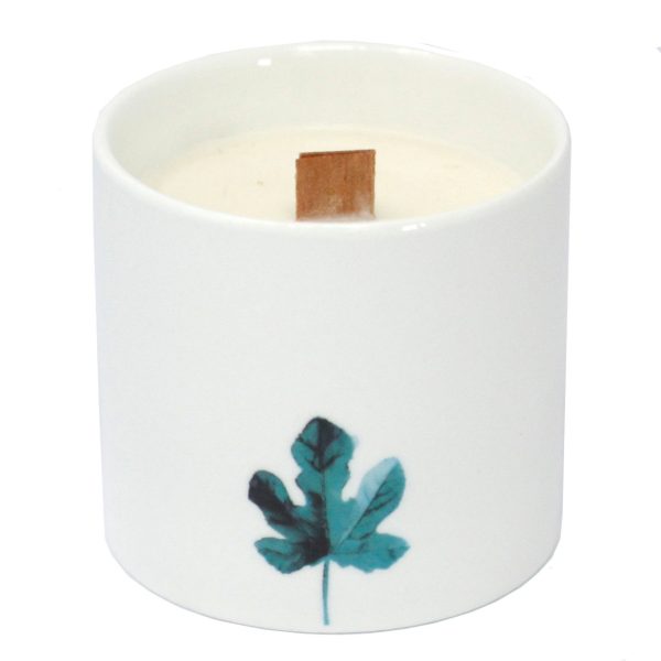Large Botanical Candles - Wild Jasmine - Image 4