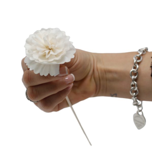 Natural Diffuser Flowers - Carnation on Reed - Image 3