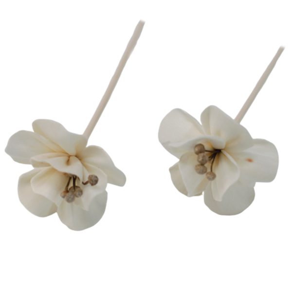 Natural Diffuser Flowers - Lily on Reed - Image 2