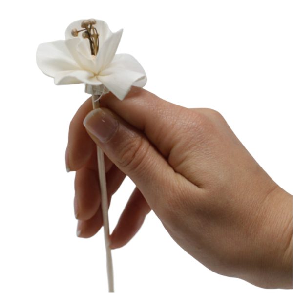 Natural Diffuser Flowers - Lily on Reed - Image 4