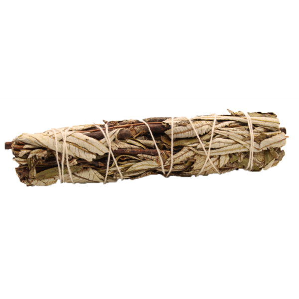 Smudge Stick - Black Sage 15cm - Image 2