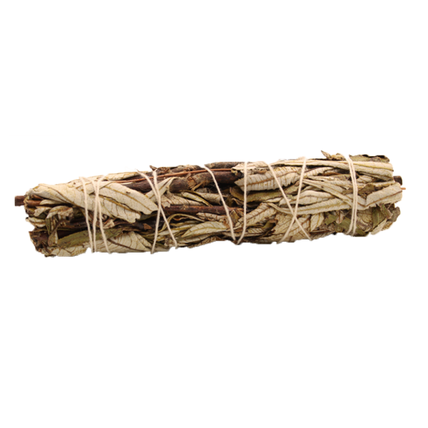 Smudge Stick - Black Sage 15cm - Image 3