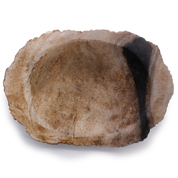 Petrified Wood Black Soap Dish - Image 2