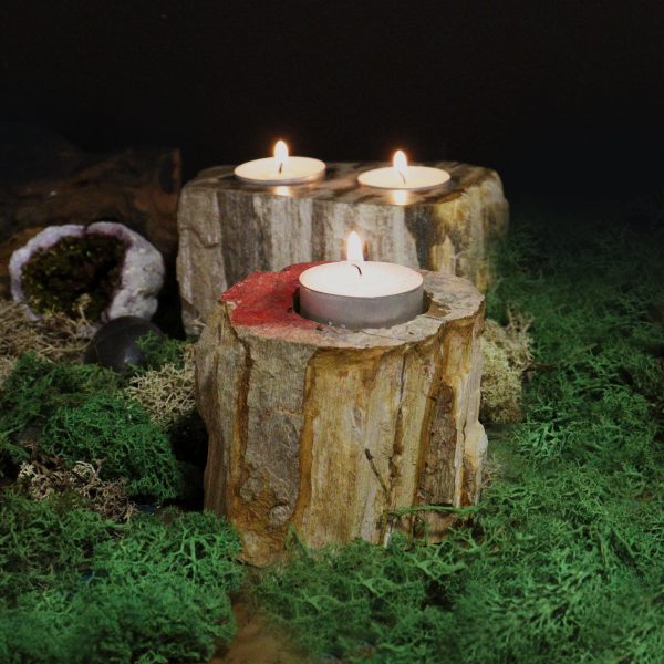 Petrified Wood Candle Holder - Single Tall - Image 4