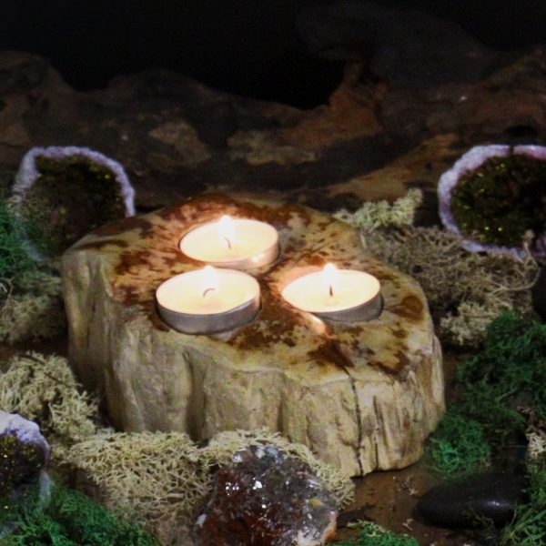 Petrified Wood Candle Holder - Triple - Image 4
