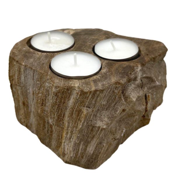 Petrified Wood Candle Holder - Triple - Image 3