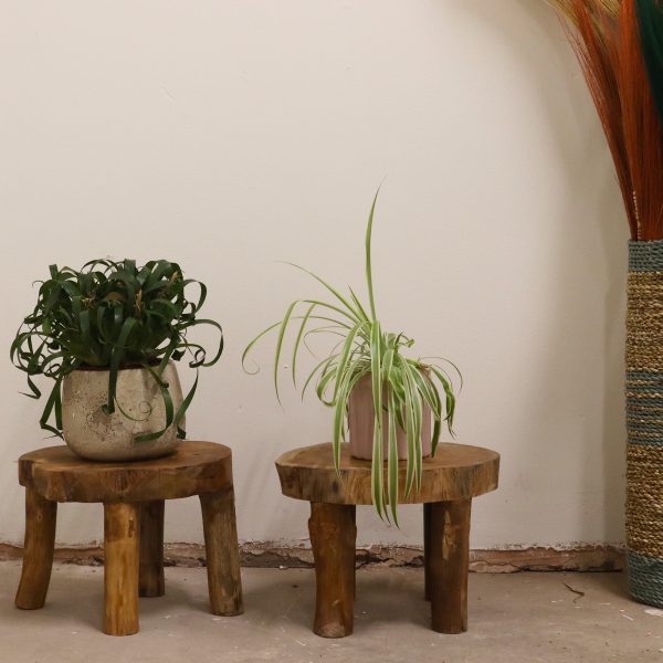Higher Teak Pad Display - 27x20cm - Image 4