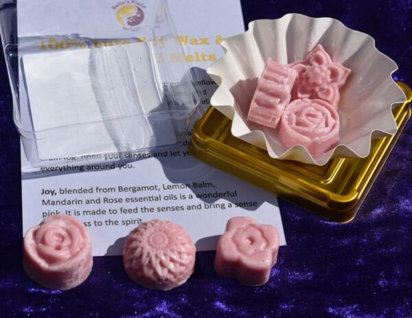 Belle's Place Joy Wax Melts