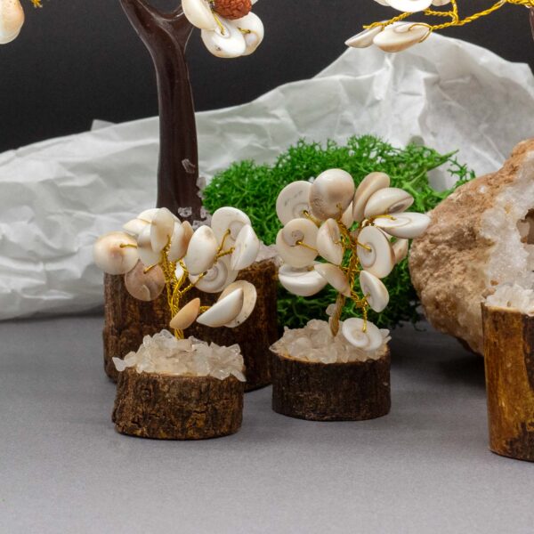 Gomati Chakra Circle Stone Tree with Rudraksha Small - (15 stones) - Image 2