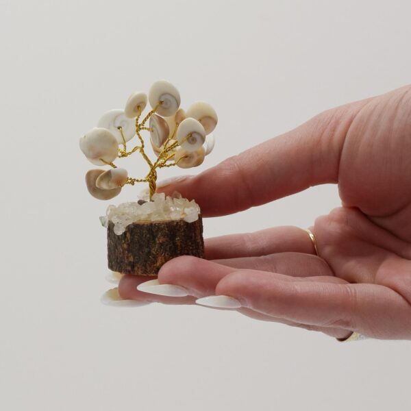 Gomati Chakra Circle Stone Tree with Rudraksha Small - (15 stones) - Image 3
