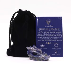 Gemstone Small Dragon Head- Sodalite - 45x30x28mm