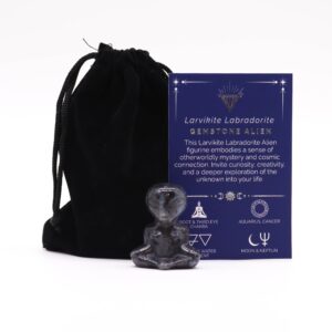 Gemstone Alien - Larvikite Labradorite - 40mm x 30mm x 15mm