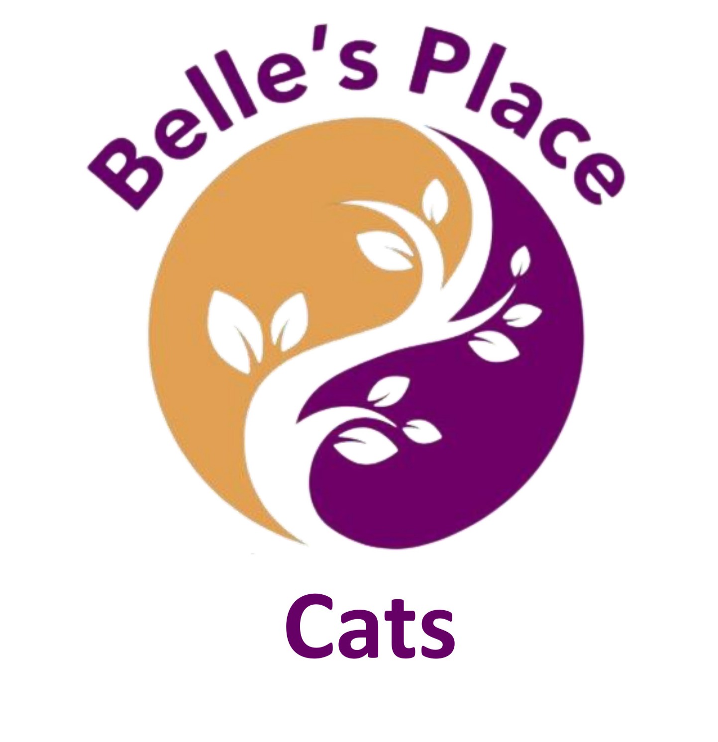 Top 10 Essential Oils that are safe for diffusing around Cats