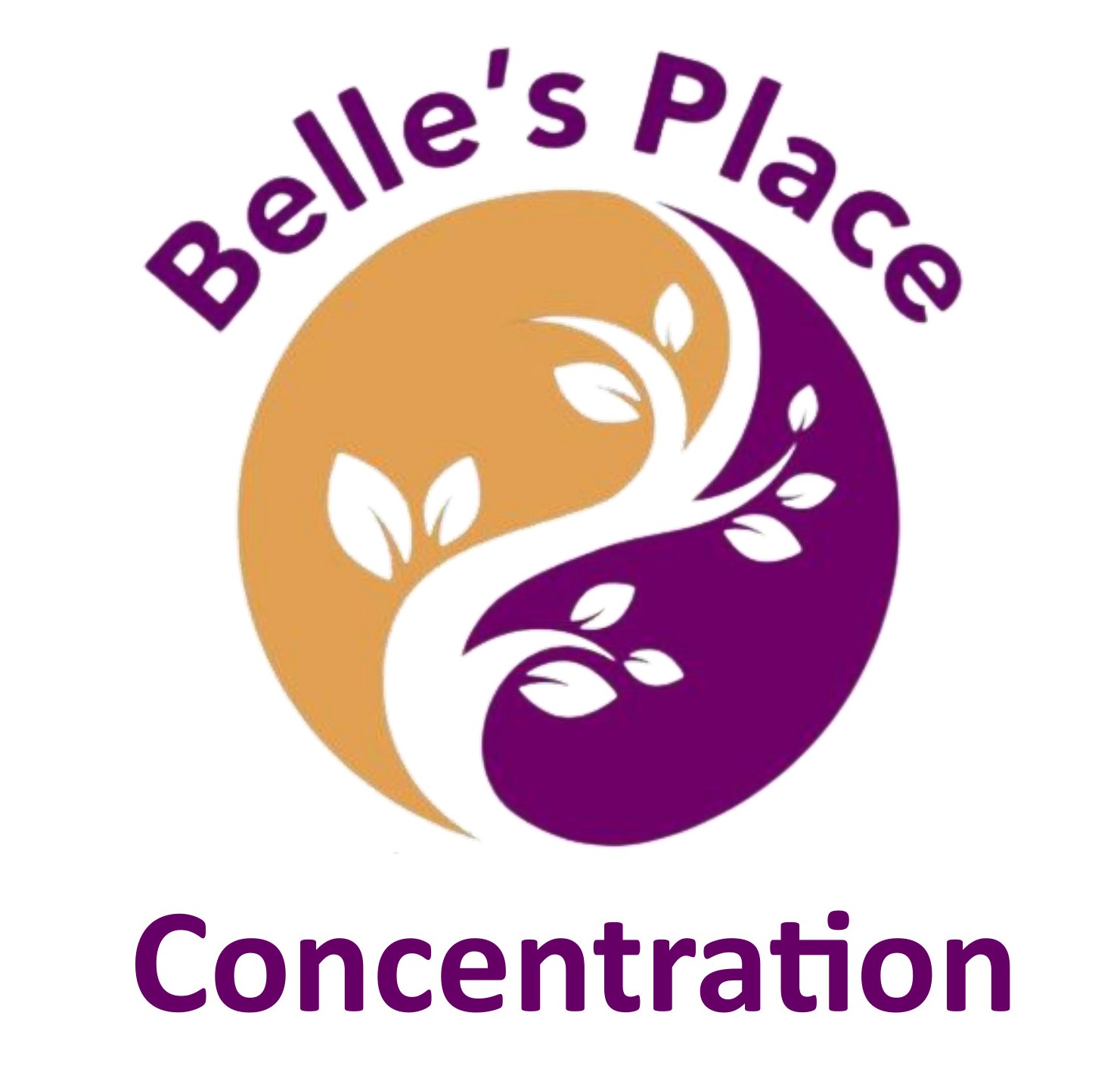 Top 10 Essential Oils associated with Improving Concentration