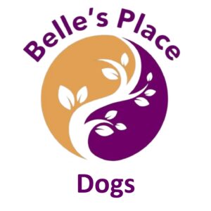 Top 10 Essential Oils that are beneficial for Dogs