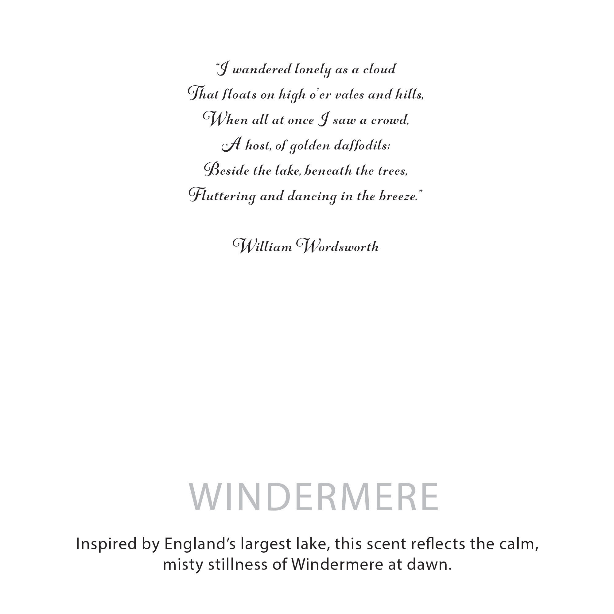 Agnes + Cat Botanical Soy Wax Candle - Windermere - Image 7