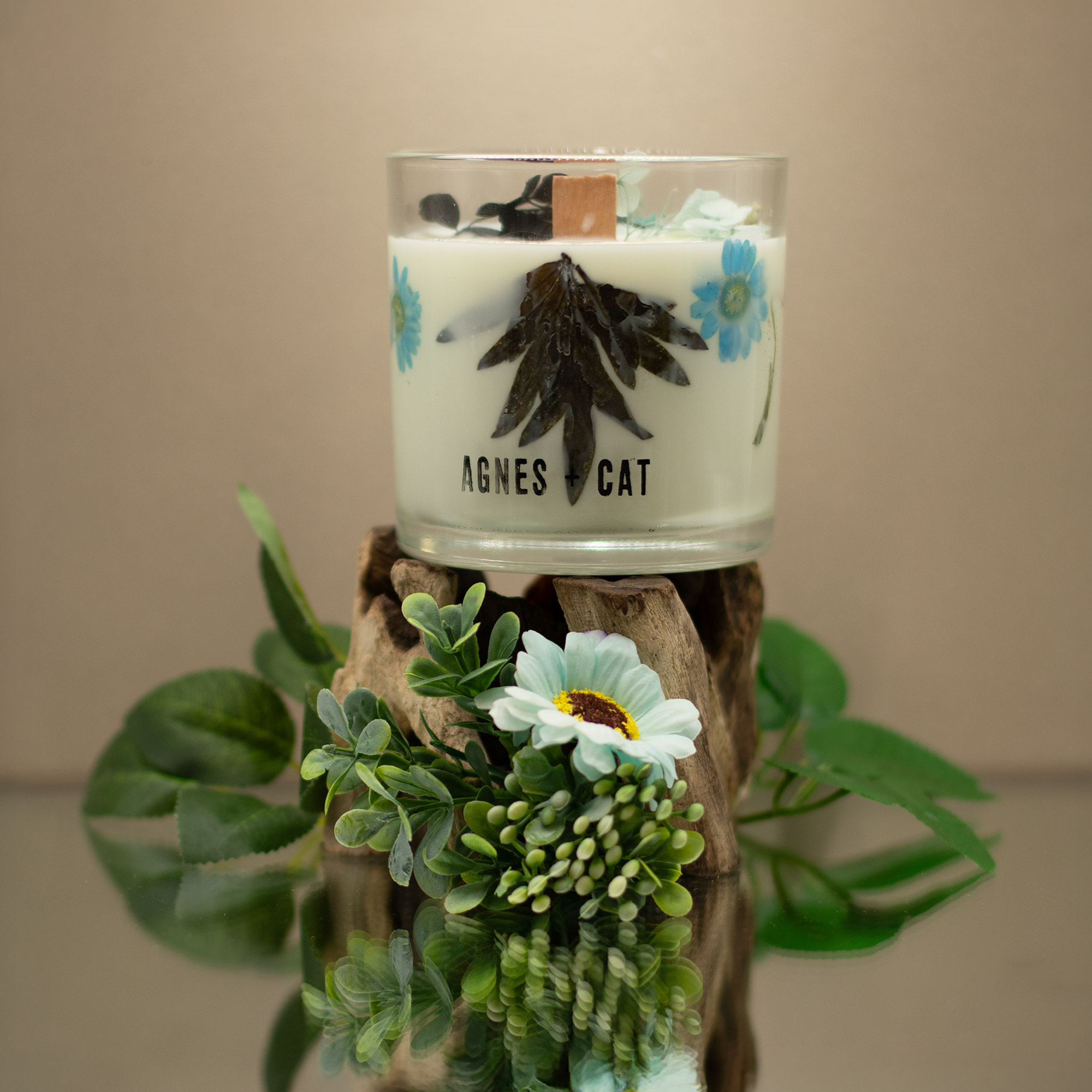 Agnes + Cat Botanical Soy Wax Candle - Seasalt & Moss